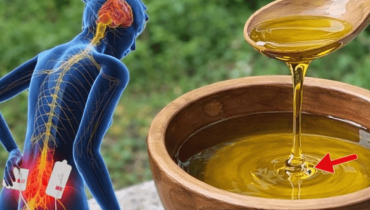 Feuilles de ricin : pourquoi l&rsquo;Ayurveda et les médecines africaines les utilisent depuis des siècles contre l&rsquo;inflammation