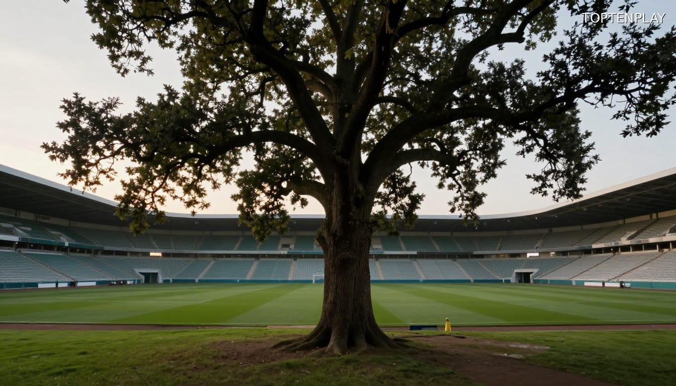 Image d'illustration © TopTenPlay