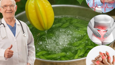 Bienfaits santé Digestion douleurs musculaires Feuilles de carambole Médecine traditionnelle Santé cardiaque 