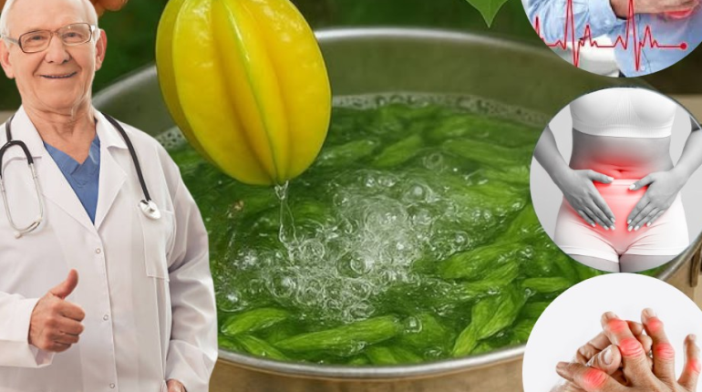 Bienfaits santé Digestion douleurs musculaires Feuilles de carambole Médecine traditionnelle Santé cardiaque 