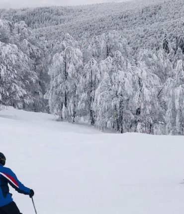 Hautes-Alpes : un skieur lyonnais de 33 ans meurt emporté par une avalanche à Cervières, son ami survit plaqué contre un arbre