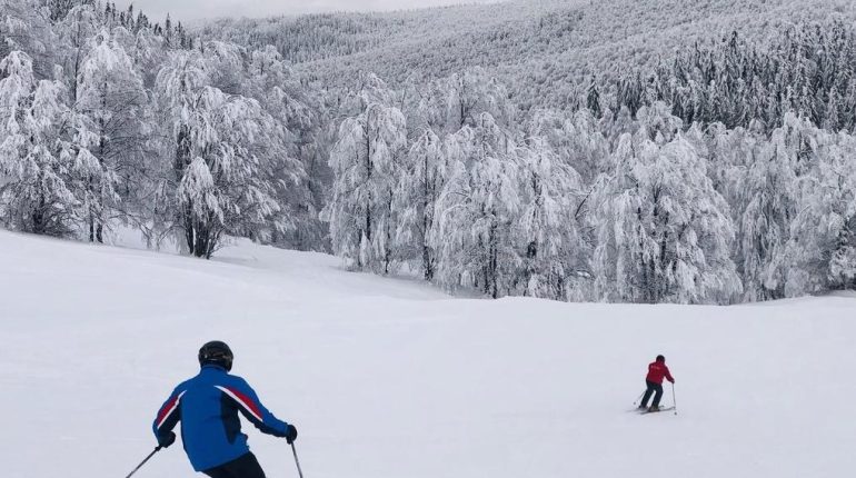 Abolition peine de mort accident Accident de ski Avalanches drame Guide de montagne Hautes-Alpes 