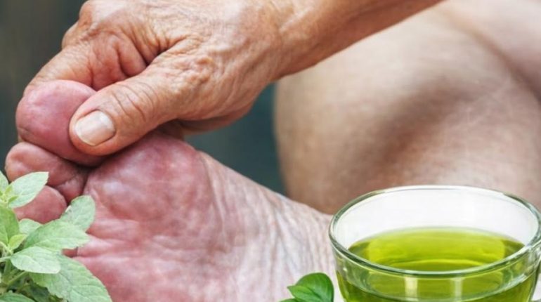 Basilic Bienfaits santé cholestérol Circulation sanguine mémoire Tisane 