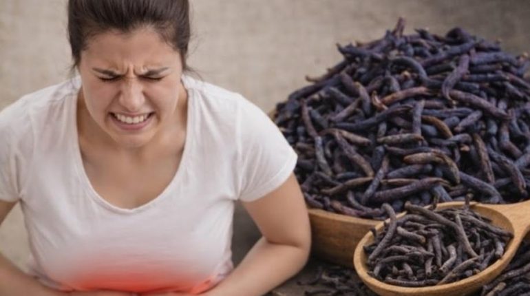 Afrique Bien-être féminin Ménopause Plantes médicinales Remèdes traditionnels Santé des femmes 