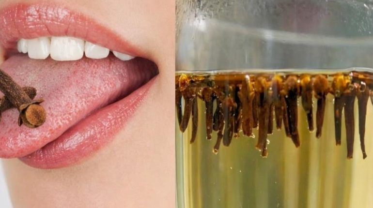 bien être Clou de girofle Digestion Immunité Infusions Métabolisme Remèdes naturels 