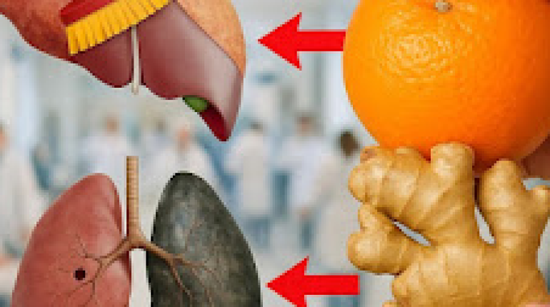 Alimentation saine Alimentation Santé Alternatives foie gras bien être Détox naturelle Reins 