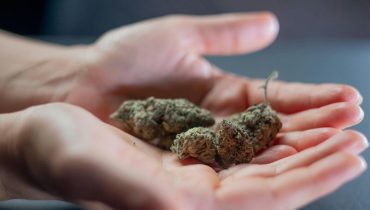 Cannabis Cognition Faux Souvenirs mémoire Neurologie THC 