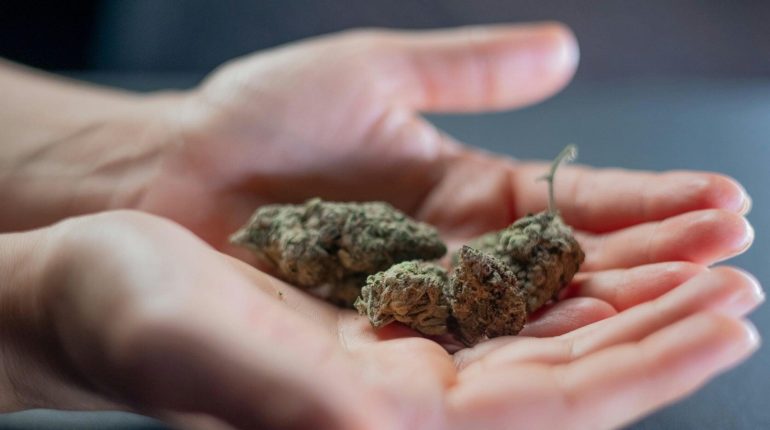 Cannabis Cognition Faux Souvenirs mémoire Neurologie THC 