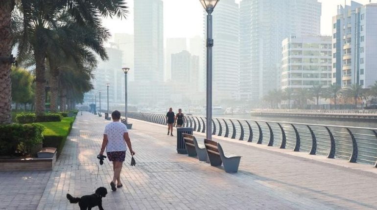 Abandon animal Abandon Animaux accusent la France Droits des animaux Dubaï Rapatriement 