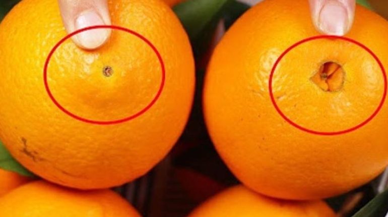 alimentation Astuce cuisine Bienfaits des fruits Bienfaits nutritionnels Oranges Saveurs 
