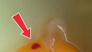 Astuce cuisine Bienfaits nutritionnels Conservation des œufs fraîcheur des œufs Sécurité alimentaire 