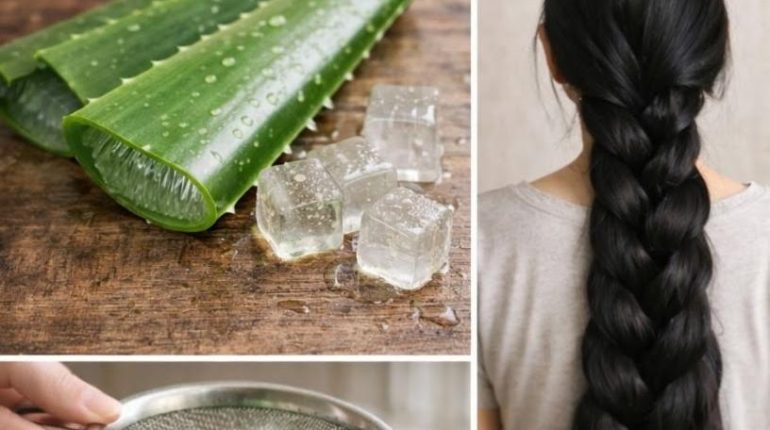 Aloe vera Astuces cheveux Chute de cheveux Huile maison Santé du cuir chevelu Soins capillaires 