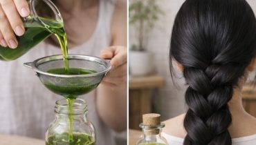 Aloe vera Cheveux sains Chute de cheveux Croissance capillaire Remède maison Soin des cheveux 