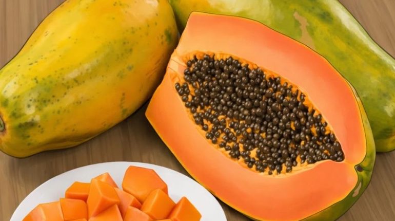 Antioxydants Bienfaits des fruits Digestion Feuilles de papaye Santé cardiaque Santé de la peau vitamines 