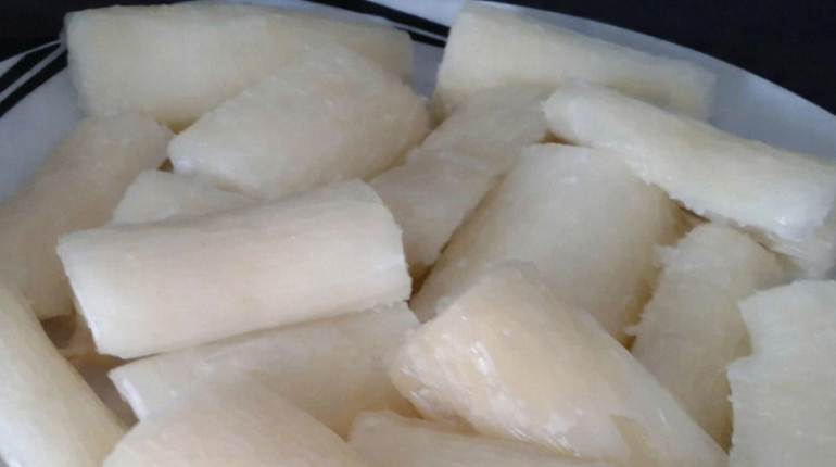 alimentation Alimentation Santé Légumes-racines Manioc préparation Toxicité 