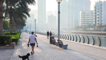 Abandon d'animaux Bien-être Animal Crise au Moyen-Orient Cruauté Animale Dubaï Influenceurs 