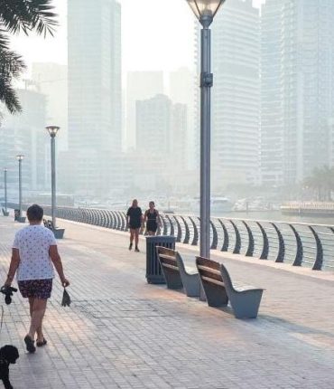 Dubaï : l&rsquo;influenceuse Mel Dedigama dénonce les abandons d&rsquo;animaux pour fuir la crise du Moyen-Orient