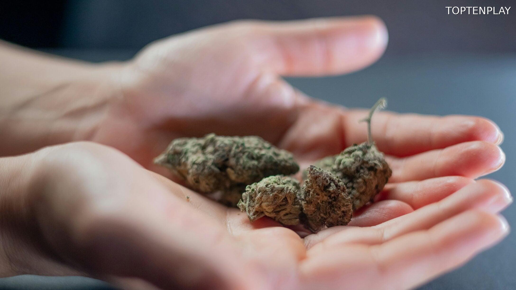 Image d'illustration © TopTenPlay