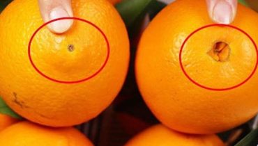 alimentation Alimentation Santé Bienfaits des fruits Bienfaits nutritionnels Oranges Recettes avocat 