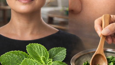 bien être Bienfaits des plantes Bienfaits yeux Métabolisme Plantes médicinales Reins Remèdes de grand-mère Santé naturelle 