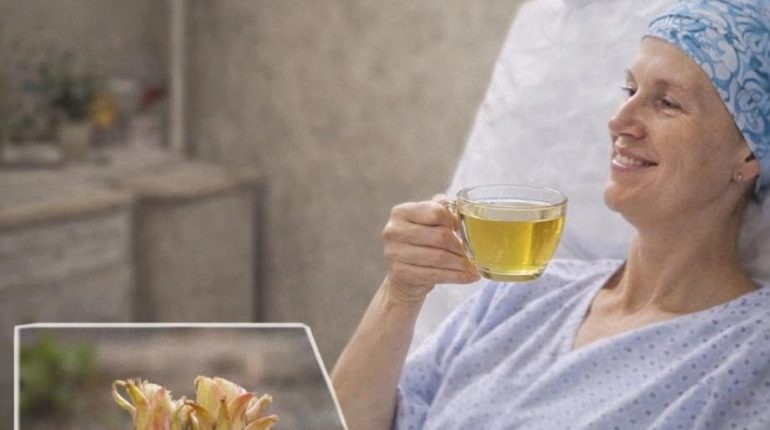 Alimentation Santé bien être Défenses naturelles Digestion Plante médicinale Racine de bardane 