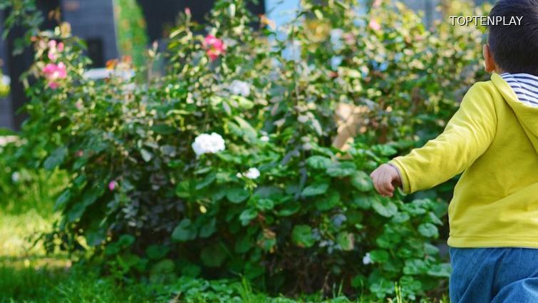 Image d'illustration © TopTenPlay