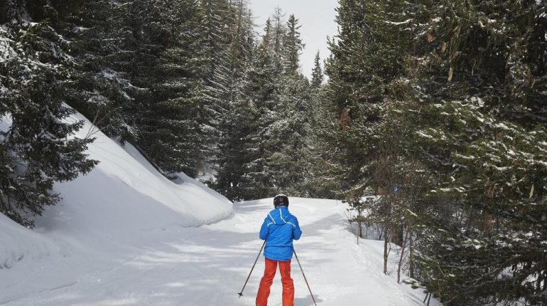 accident Accident de ski drame Formiguères Guide de montagne Hautes-Pyrénées 