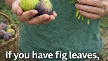 bien être Feuilles de figuier glycémie Phytothérapie Régulation du glucose Santé cardiaque 