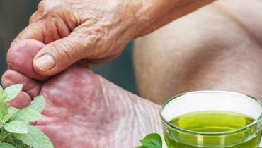 Thé de basilic : comment cette infusion quotidienne améliore circulation, cholestérol, mémoire et sommeil