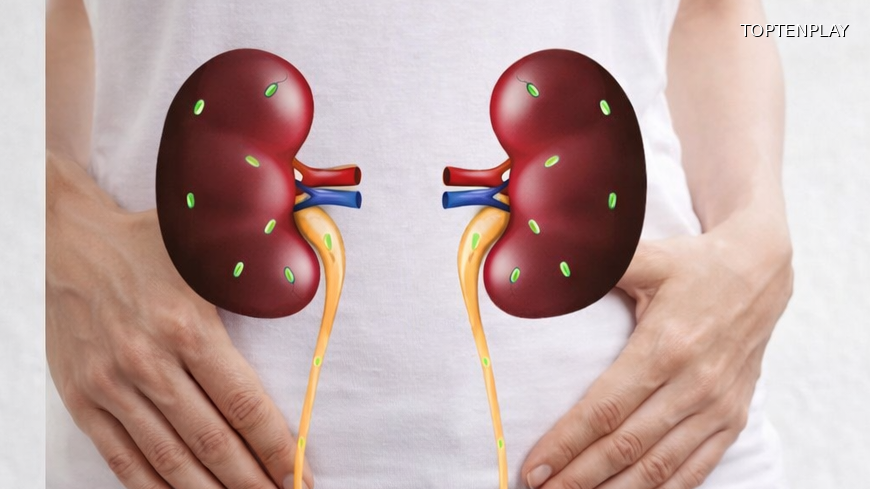 Image d'illustration © TopTenPlay