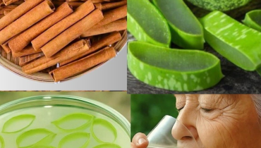 Aloe vera bien être Cannelle Digestion Immunité Recette naturelle 