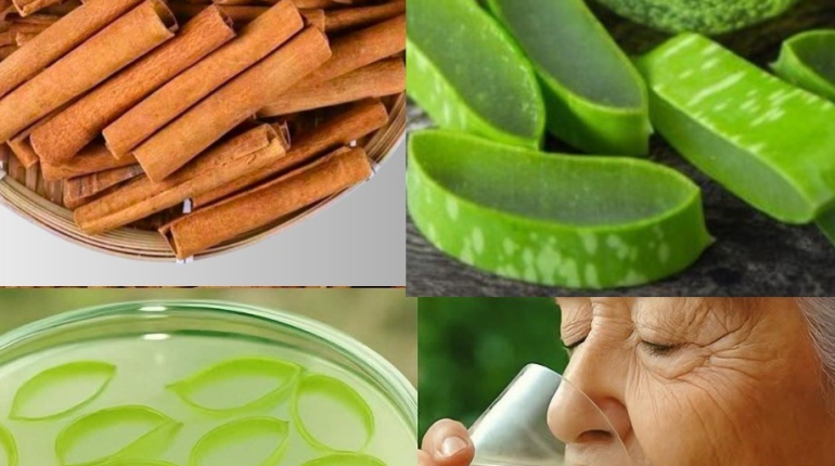 Aloe vera bien être Cannelle Digestion Immunité Recette naturelle 