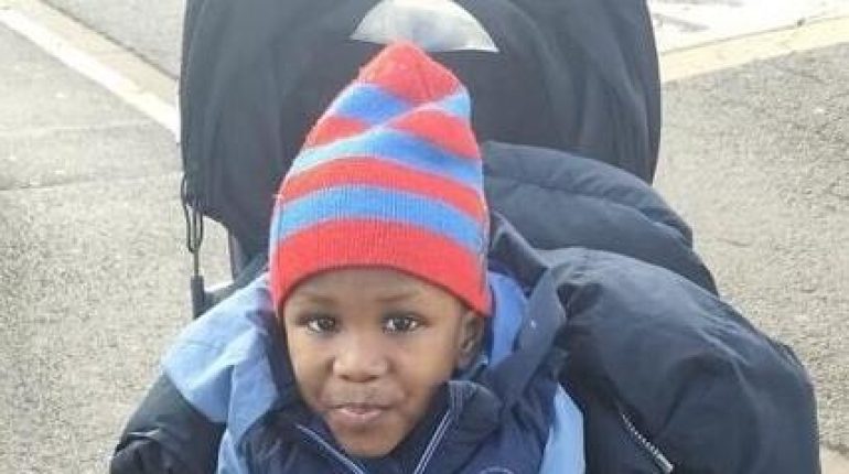 Actualités animales Avis de recherche disparition Enfant disparu injustice 