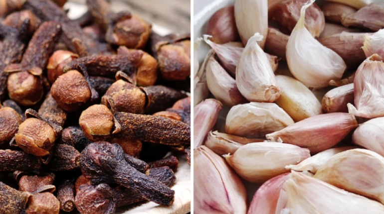 Absence au travail Clous de girofle Digestion Immunité inflammation Miel ail Remède naturel 