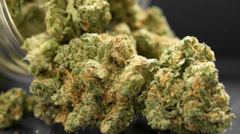 CBD CBG glycémie maladies du foie Santé Hépatique Stéatose hépatique 