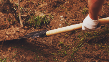 Abolition peine de mort accident Aération maison Syndrome Alpha-Gal tragédie Travaux routiers 