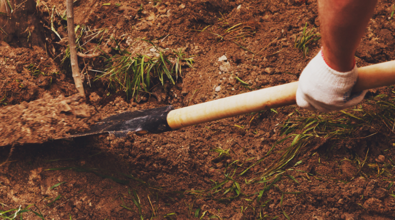 Abolition peine de mort accident Aération maison Syndrome Alpha-Gal tragédie Travaux routiers 
