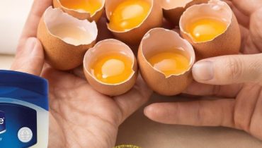 Déshydratation Jaune d'œuf Masque de nuit Peau mature Soins de la peau Vaseline 