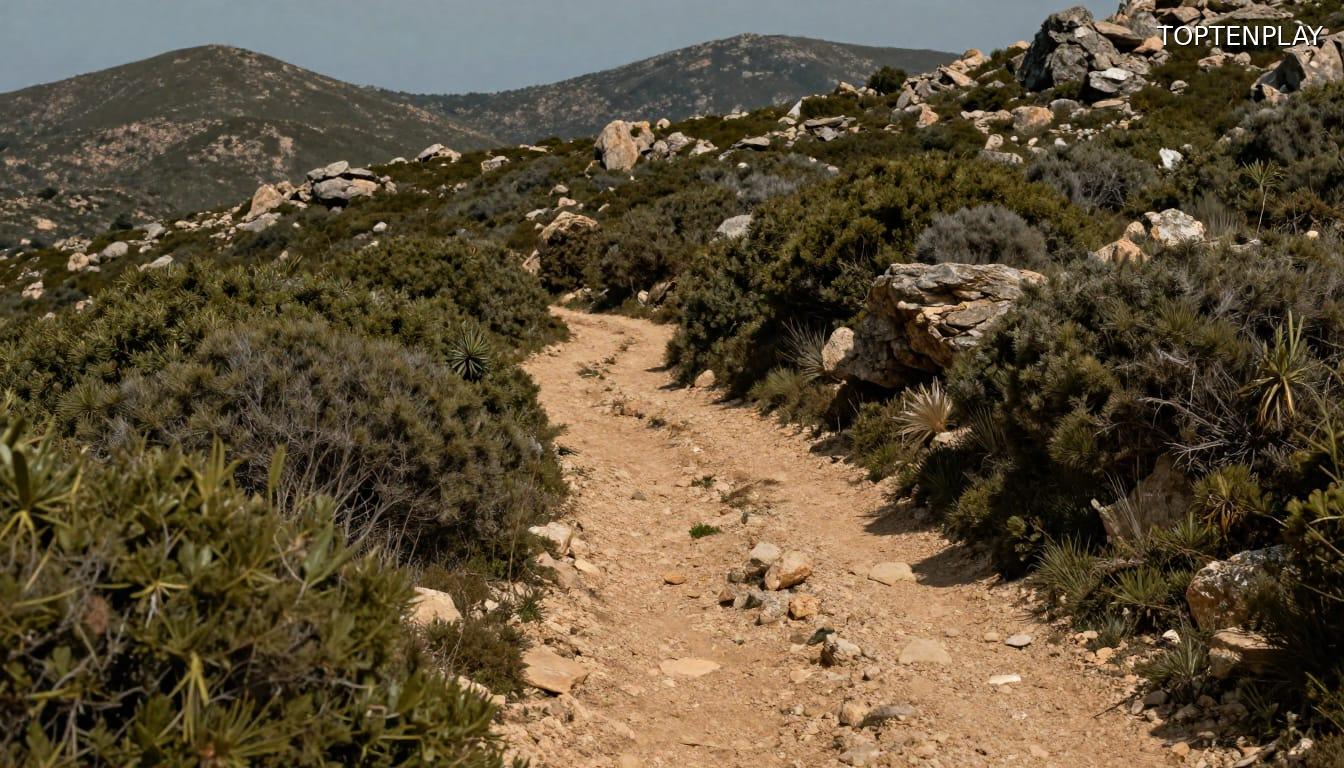 Image d'illustration © TopTenPlay