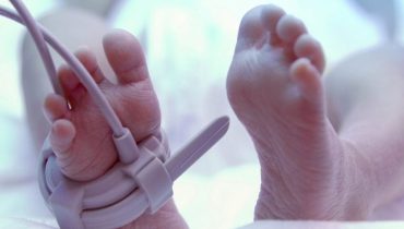 Actualités animales Bébé miracle Dîner en famille faits divers Leeds survie tragédie 