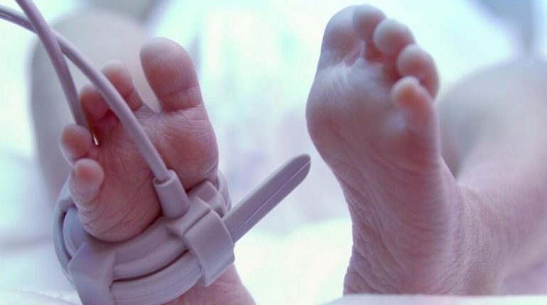 Actualités animales Bébé miracle Dîner en famille faits divers Leeds survie tragédie 