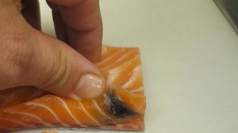 Astuces de conservation Conservation du poisson fraîcheur Oxydation Qualité alimentaire Saumon fumé 