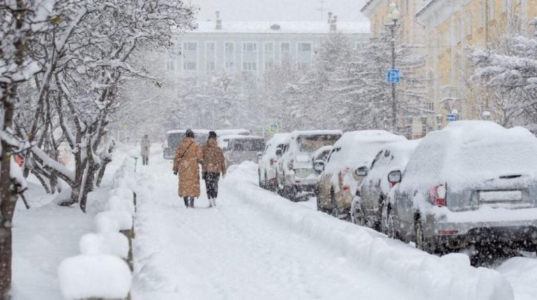 accusent la France Actualités animales Alerte météo Angela Hudson Blancs en neige Cuisine d'hiver Froid 