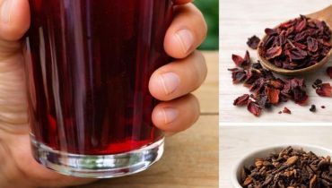 bien être bienfaits Bienfaits nutritionnels Idée recette Infusions Noyau d'avocat Santé naturelle 