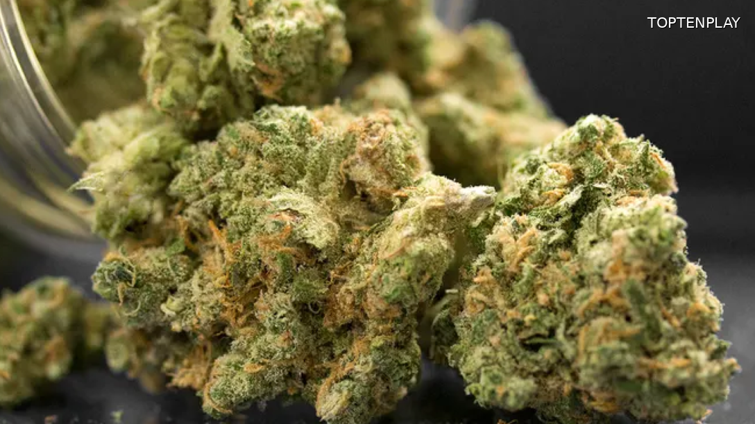 Image d'illustration © TopTenPlay