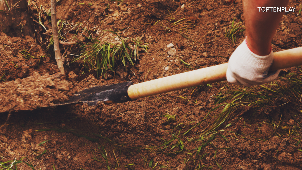 Image d'illustration © TopTenPlay