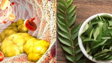 Ayurveda Bienfaits naturels Circulation sanguine Feuilles de curry glycémie inflammation 