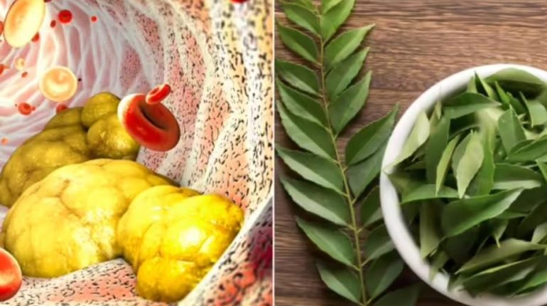 Ayurveda Bienfaits naturels Circulation sanguine Feuilles de curry glycémie inflammation 