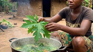 Feuilles de papaye bouillies : comment cette préparation traditionnelle agit sur les plaquettes sanguines et la digestion