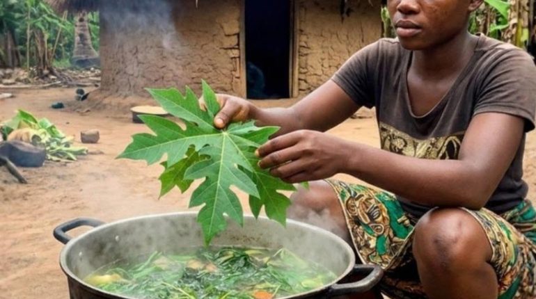 Antioxydants Bienfaits santé Digestion Feuilles de papaye Médecine traditionnelle Plaquettes sanguines 